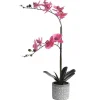 Clearance Kunstorchidee Met Pot Van Cement - H55 X B30 Cm - Roze - Riosane Kunstplant