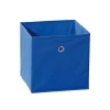 Best Wase Opbergdozen Blauw. Opbergaccessoire