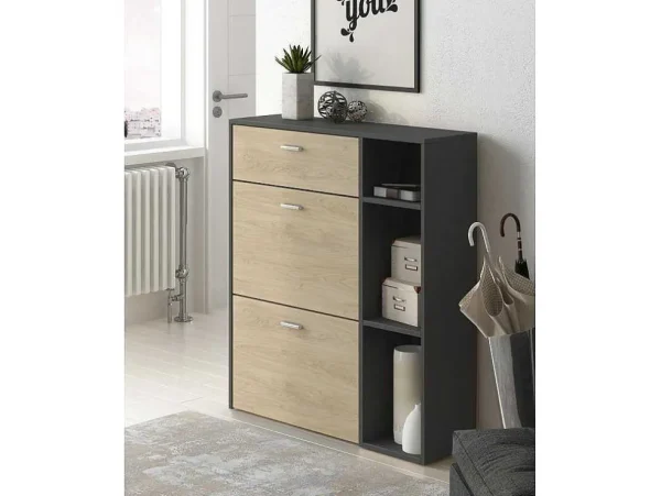 New Zapatero Furniture, Windmodel, 90X26X101.5Cm, Tegroep Hall En Hall, Grijs En Eiken, Moderne Stijl Schoenenkast